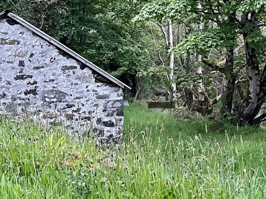 John The Mills Cottage Spahot Tub Private Beach Donegal Town Dış mekan fotoğraf